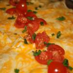 Chilean Mouthwatering Chicken Enchiladas with Roasted Tomatillo Chile Salsa BBQ Grill