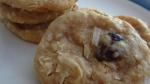 American Raisin Coconut Treasure Cookies Recipe Dessert