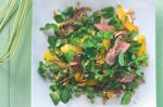 Australian Garlic Beef And Watercress Salad Recipe Appetizer