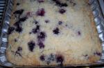 American Blueberry Crumb Cake 4 Dessert