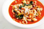 Australian Minestrone Soup Recipe 43 Appetizer