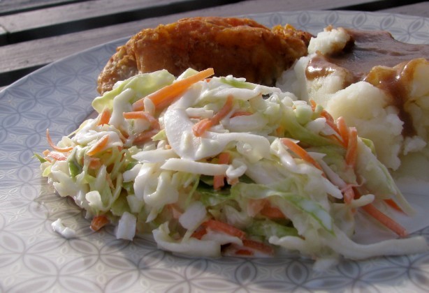 American Tsr Version of Hard Rock Cafe Creamy Coleslaw by Todd Wilbur Appetizer