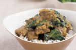 Indian Lamb And Spinach Curry Recipe 1 Appetizer