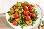 Canadian Crunchy Roast Potato And Tomato Salad Recipe Appetizer