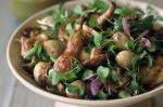 Quail Salad With Chinese Marbled Eggs Recipe recipe