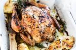 Australian Roast Chicken With Lemon And Herb Butter Recipe Dinner