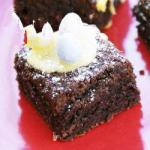 Australian Brownies Tempting Dessert