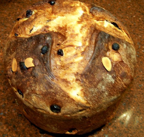 French Panettone 40 Dessert