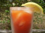 French Spicy Cajun Bloody Mary Mix Appetizer