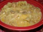 Turkish Crock Pot Turkey Tetrazzini Dinner