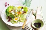 American curried Egg Garden Salad Recipe Appetizer