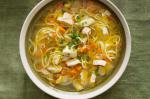 American Chicken Vegetable And Noodle Soup Recipe Appetizer