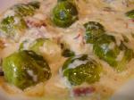 American Brussels Sprouts Gratin 4 Appetizer