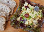 Canadian Curried Chicken Salad with Grapes and Cashews Appetizer