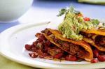 American Spicy Beef Enchiladas Recipe Dinner