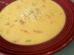 American Zesty Cheese Soup 1 Drink