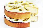British Fruity Sponge Cake Recipe Dessert
