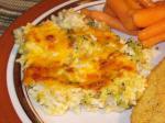American Broccoli Rice and Cheese Casserole 4 Appetizer