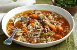 American Hearty Lamb And Risoni Pasta Soup Recipe Appetizer