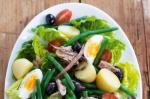 American Nicoise Salad Recipe 9 Appetizer