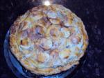 American Martha Stewarts Pate Brisee  Basic Pie Crust Dinner