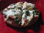 American Super Healthy Veggie Pita Pizza Appetizer