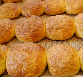 Canadian Quick No-Knead Rolls Other