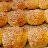Canadian Quick No-Knead Rolls Other
