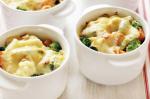 American Cheesy Vegetable Pots Recipe Appetizer