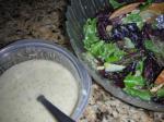 American Onion and Mustard Spinach Salad Dressing Appetizer