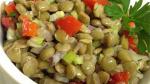 American Mediterranean Style Roasted Red Pepper and Lentil Salad Recipe Appetizer