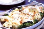 Canadian Cauliflower And Broccoli Gratin Recipe 3 Appetizer