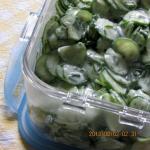 American Scandinavian Cucumber Salad Recipe Appetizer