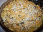 Turkish Cheesy Chicken Tetrazzini 5 Dinner