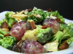 Turkish Broccoli Salad 99 Appetizer