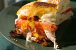 Turkish Grilled Tomato Smoked Turkey and Muenster Sandwich Appetizer