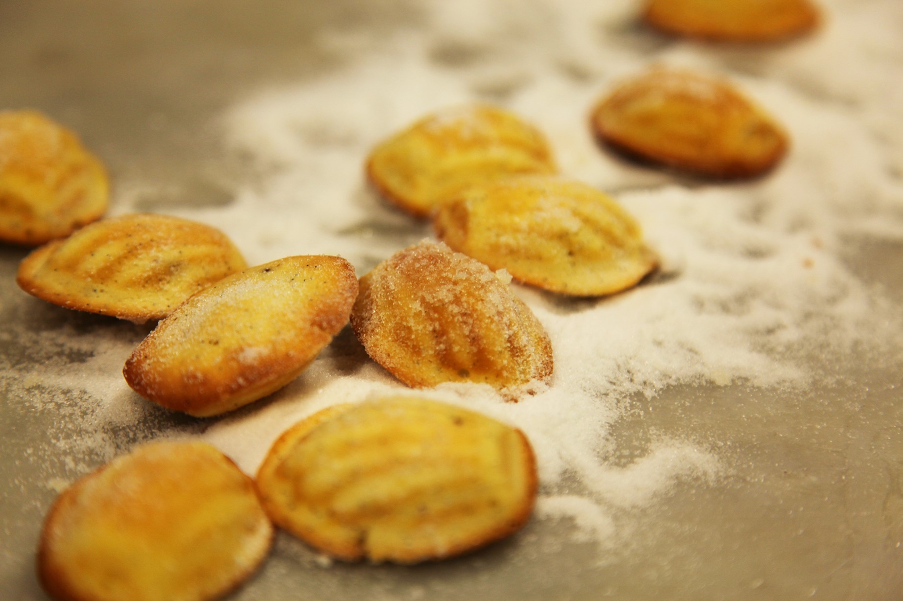 French Lemon Madeleines Appetizer