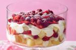 American Strawberry And Raspberry Trifle Recipe Dessert