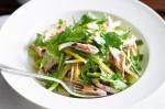 American Spicy Shredded Chicken Salad Recipe Appetizer