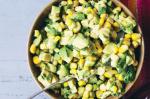 Mexican Avocado And Corn Salad Recipe 1 Appetizer