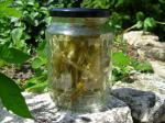 Canadian Homemade Candied Angelica  for Cakes Bakes and Desserts Dessert