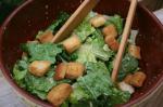 American Terrys Caesar Salad Appetizer