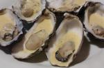 American Australian Oysters in Champagne Sauce Dinner