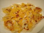 American Kidfriendly Cheesy Nachos Appetizer