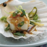 Chinese Scallops in the Shell Appetizer