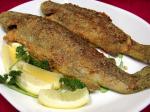Syrian Pan Fried Trout Appetizer