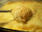 American Mashed Potatopumpkin Gratin Appetizer