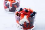 British Flourless Chocolate Cake and Berry Trifle Recipe Dessert