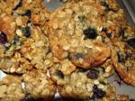 American Oatmeal Blueberry Cookies Dessert