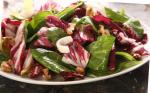 American Chicory and Arugula Salad with Honey Vinaigrette Recipe Dessert